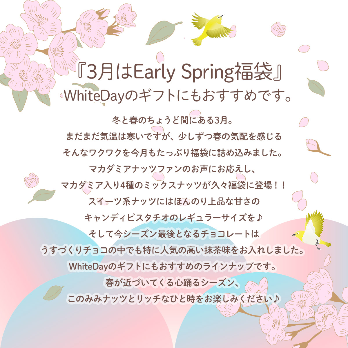 このみみ福袋