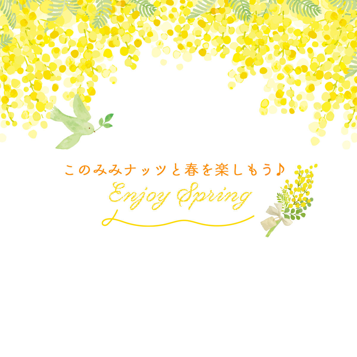 このみみ福袋