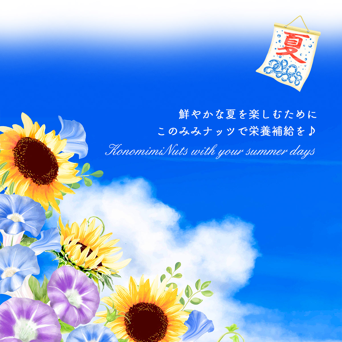 このみみ福袋