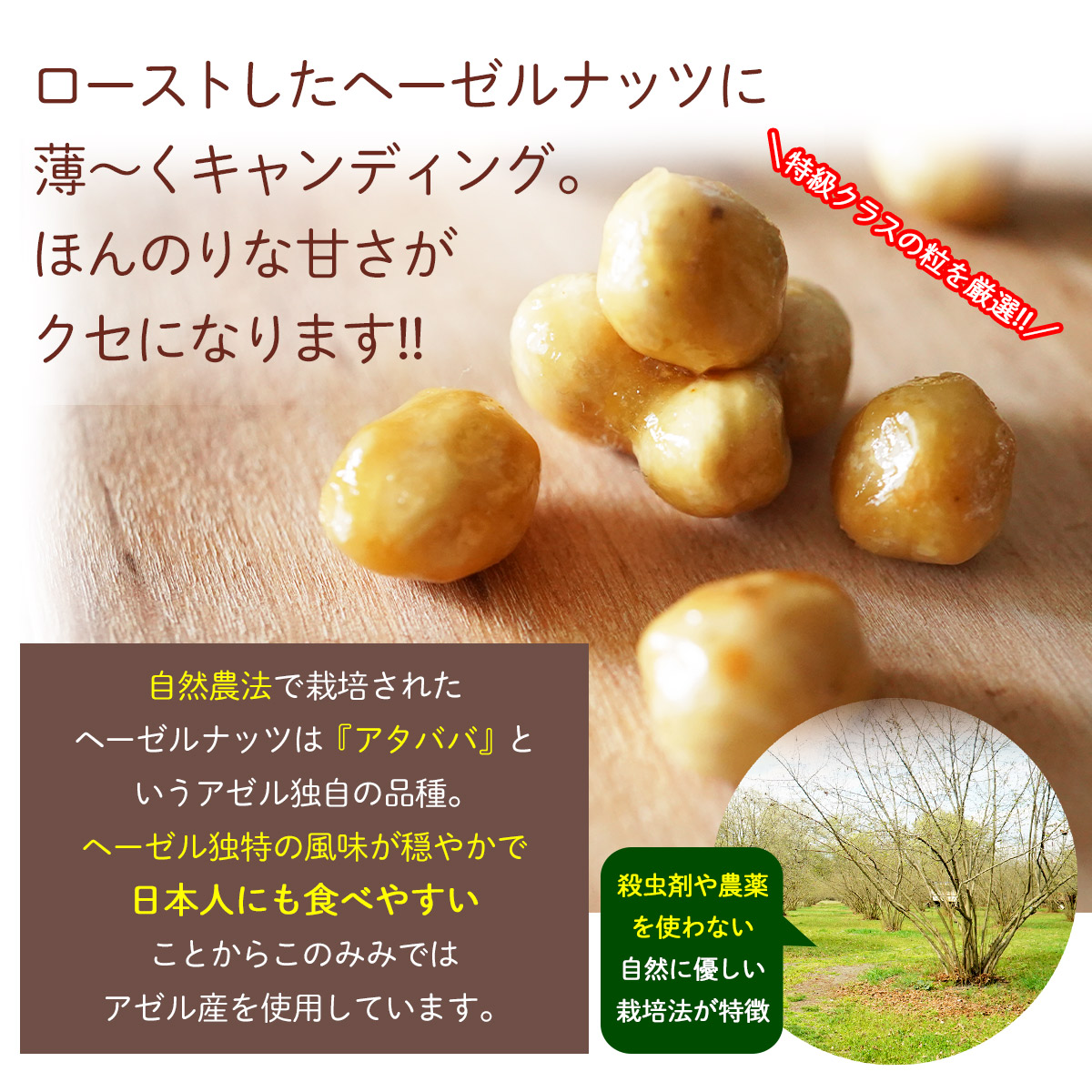 福袋