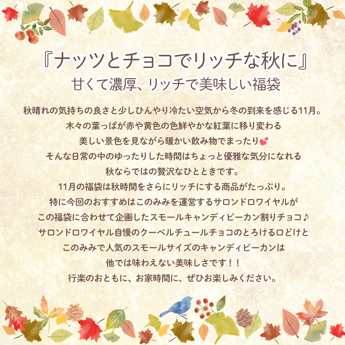 会員特別価格で4,320円OFF!8,300円→3,980円このみみ11月福袋♪ 送料無料 ナッツ おつまみ ナッツ ナッツクリエイト このみみ 会員特別価格で4,320円OFF!8,300円→3,980円このみみ11月福袋♪ 送料無料 ナッツ おつまみ ナッツ ナッツクリエイト このみみ