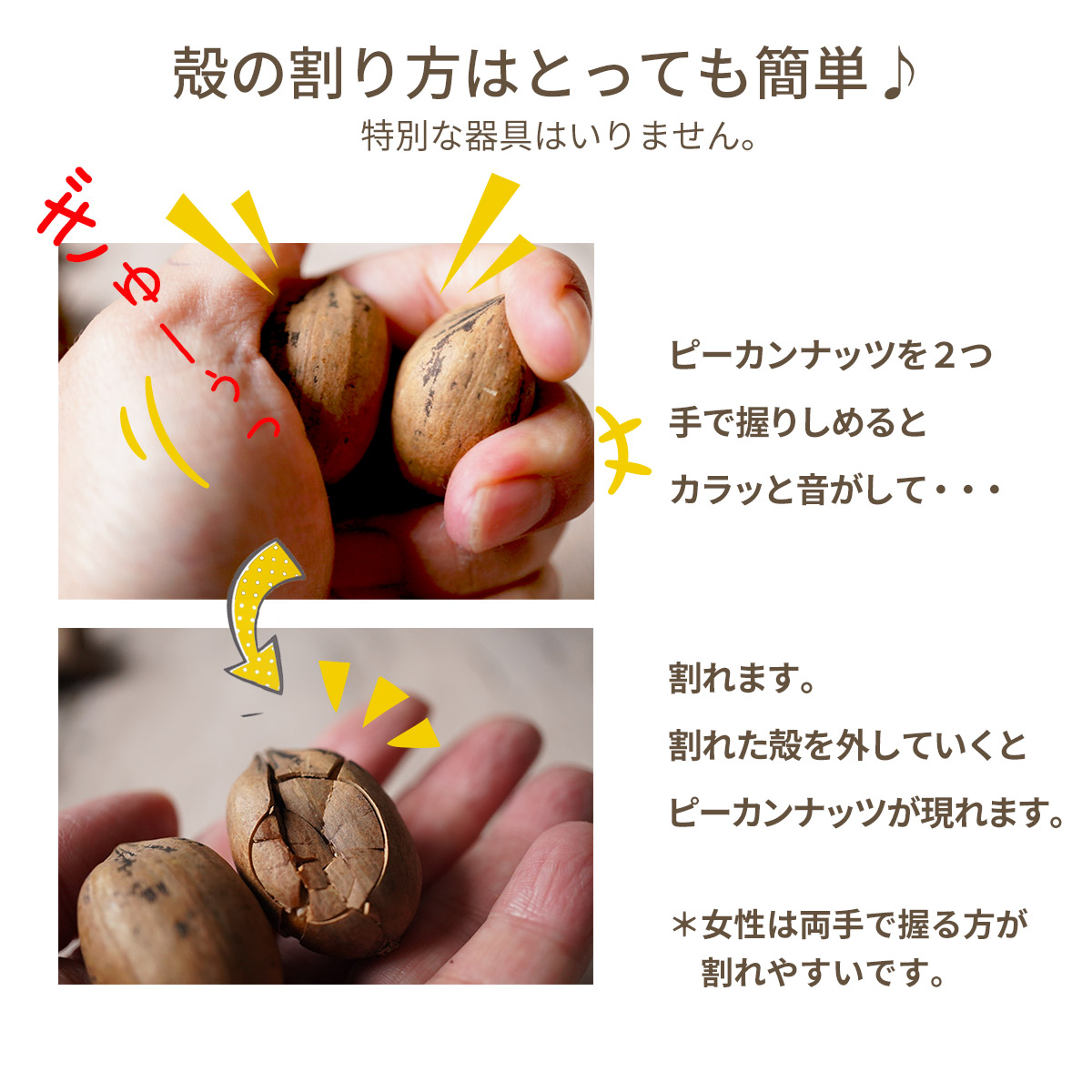 殻付き ピーカンナッツ 0g 日本初輸入 ナッツ ナッツクリエイト このみみ 殻付き ピーカンナッツ 0g 日本初輸入 ナッツ ナッツクリエイト このみみ